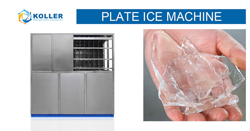 Plate Ice Machine-PM100
