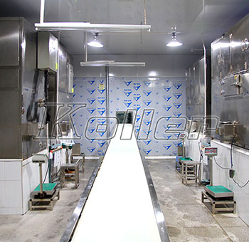 4sets of 3tons cube ice machine and cold room in Guangzhou, China