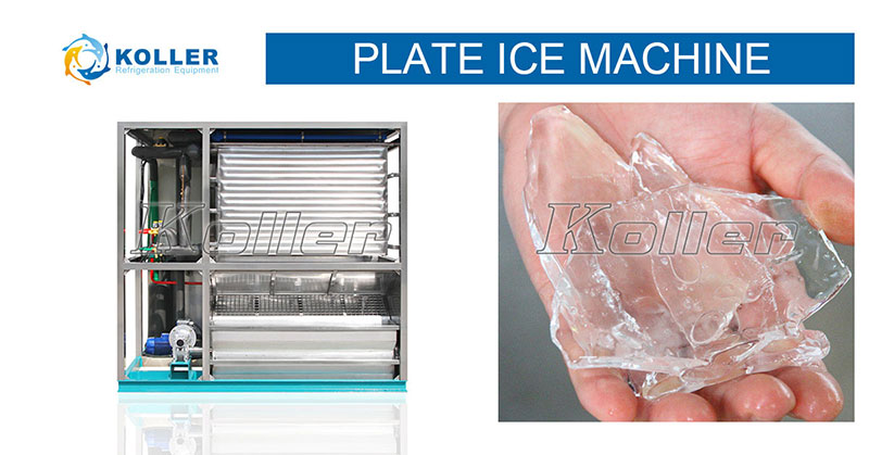 Plate ice machine