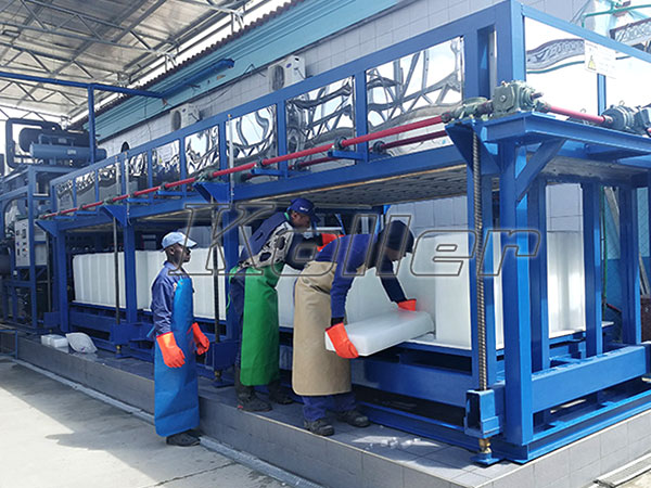 10 tons ice block machine in Mozambique