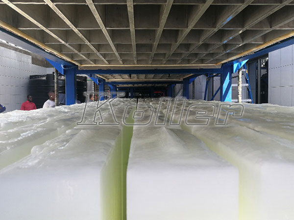 10 tons ice block machine in Mozambique