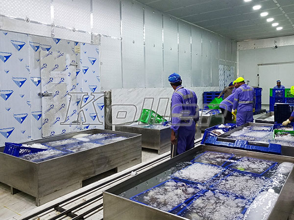 15tons flake ice machine in Bahrain