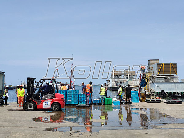 Seawater flake ice machine in Angola