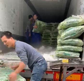 automatic ice block machine and Ice crusher machine for vegetable transportation in Yunnan