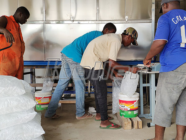 Flake Ice Machine and Ice Cube Machine in Angola