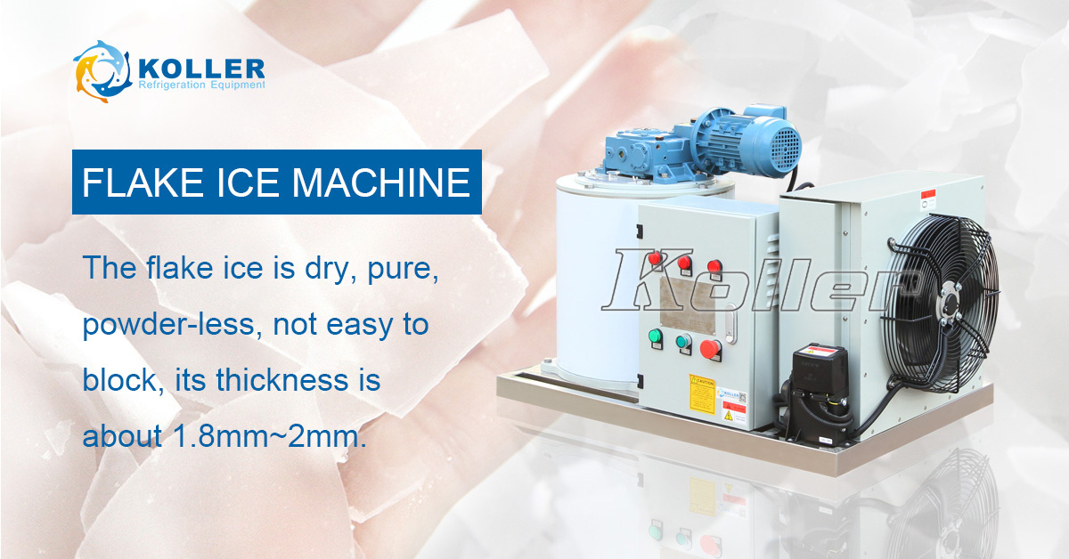 Commercial Ice Machine-Flake Ice Machine KP02 (200kg/day capacity)
