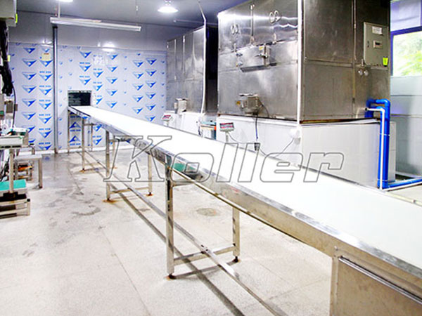 4sets of 3tons cube ice machine and cold room in Guangzhou, China