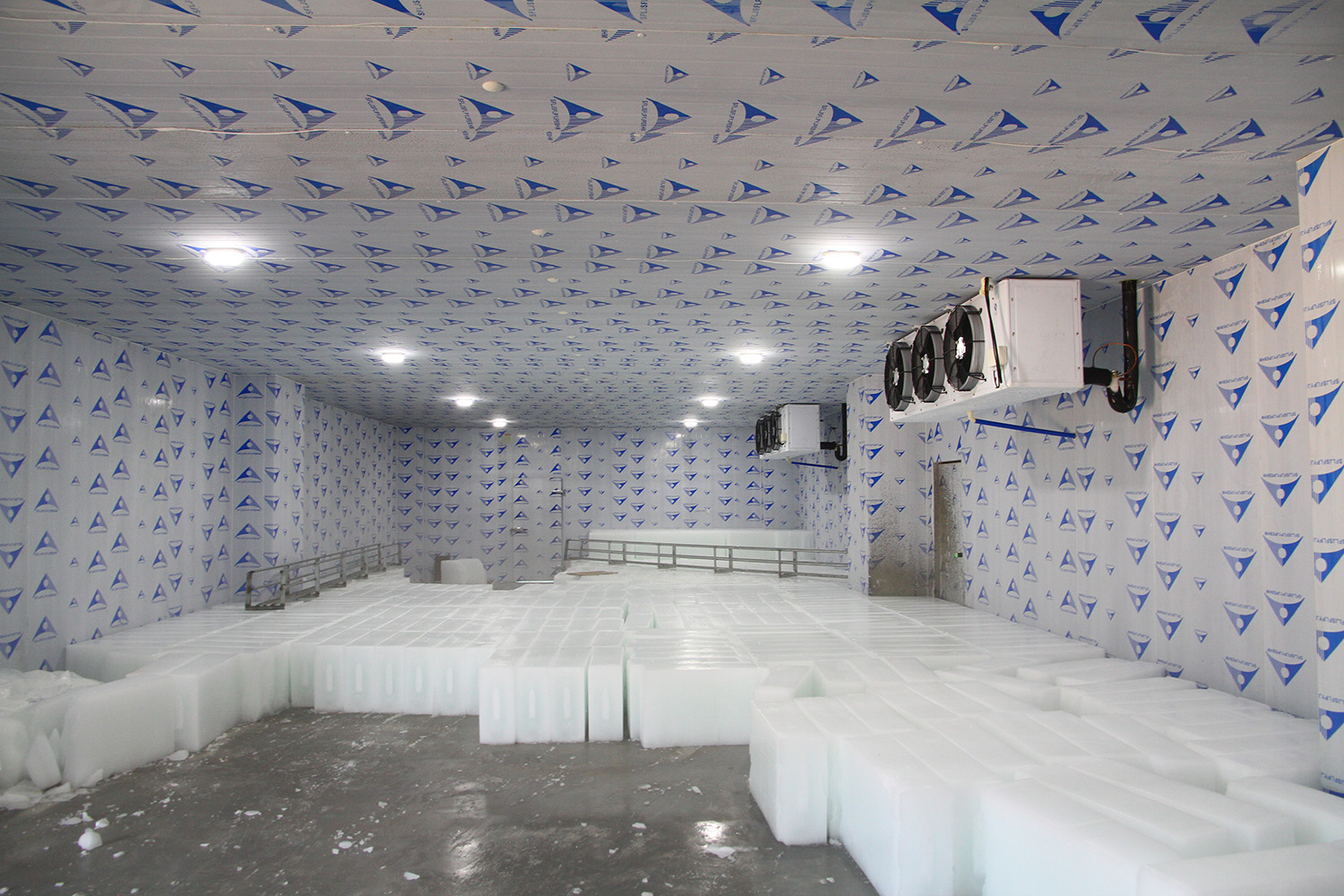 10 tons ice block machine in Mozambique