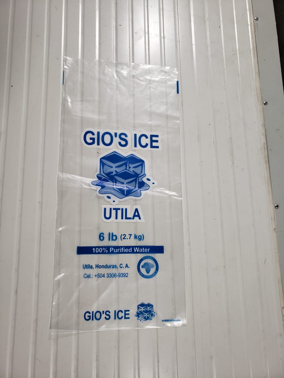 10 tons ice block machine in Mozambique