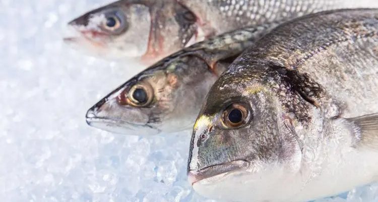 How Ice Can Keep Your Fish Fresh