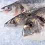 How Ice Can Keep Your Fish Fresh