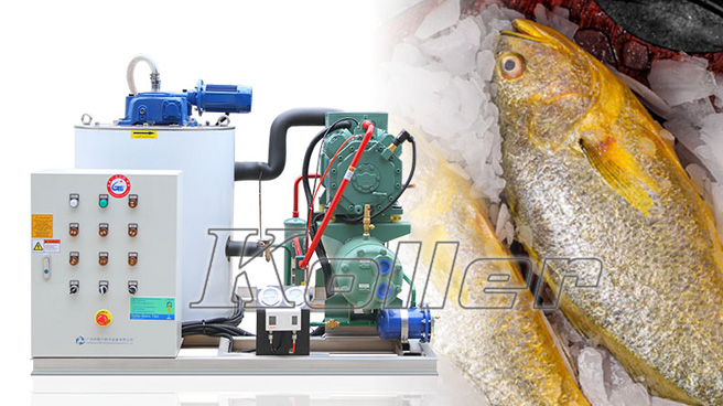 How Koller's Flake Ice Machine Can Benefit Aquatic Product Processing