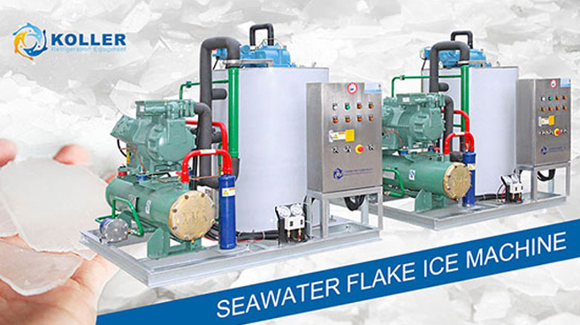 How Seawater Flake Ice Machines Keep Fish Fresh