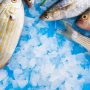 How to Maintain the Freshness of Imported Aquatic Products