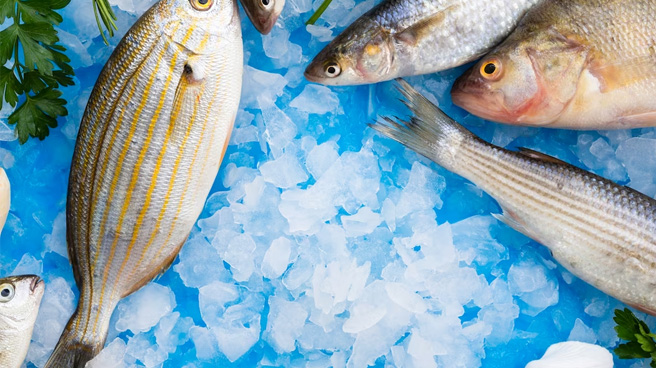 How to Maintain the Freshness of Imported Aquatic Products