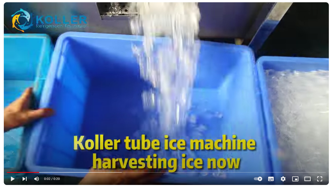 Koller tube ice machine making sanitary and pure cylindrical ice for drinking